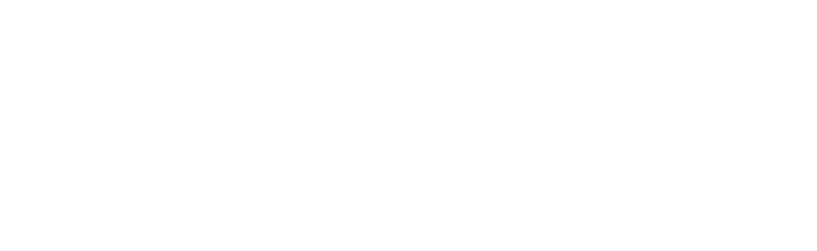 STFOX
